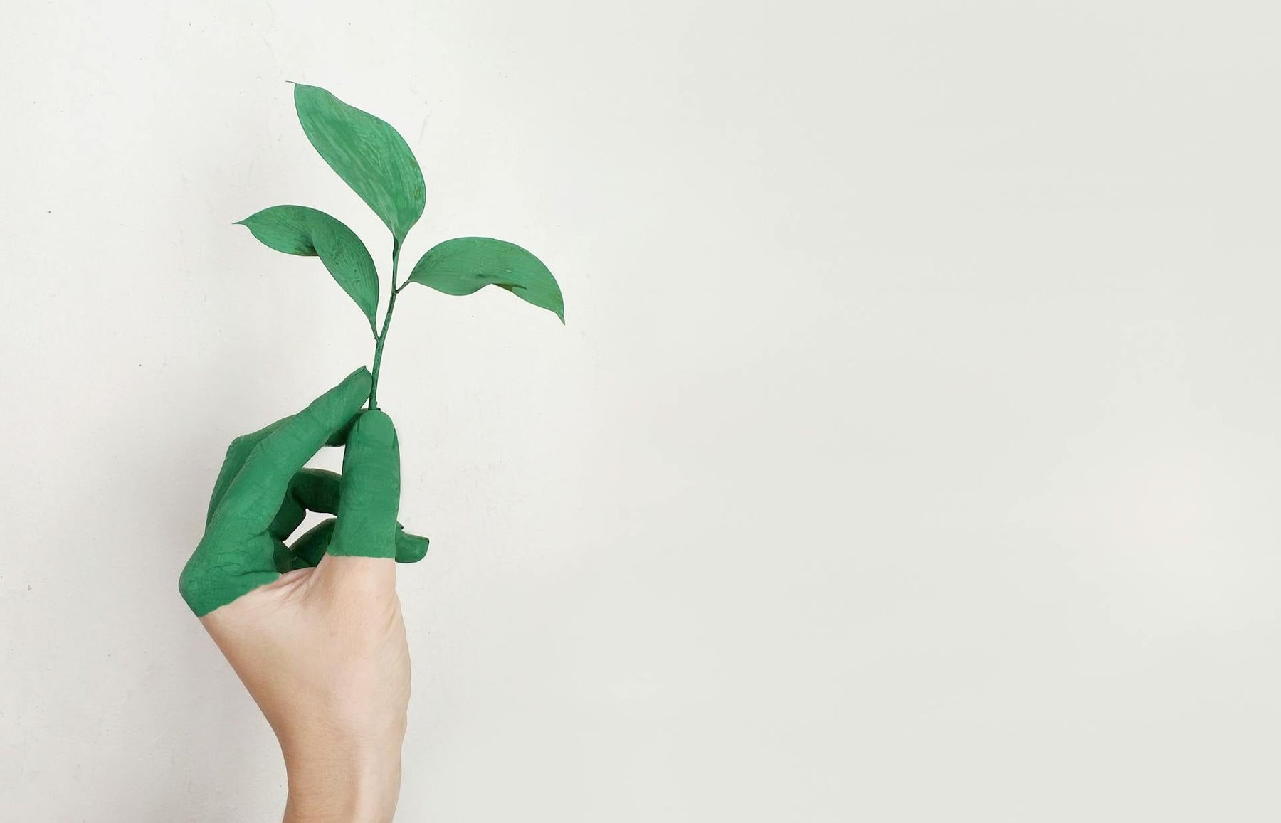 Eco-Friendly Promo That Actually Works – What’s Worth the Hype