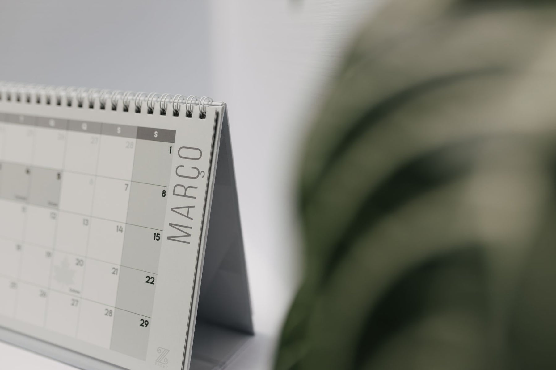 A close-up shot of a desk calendar open on March, with a soft, minimalistic background.