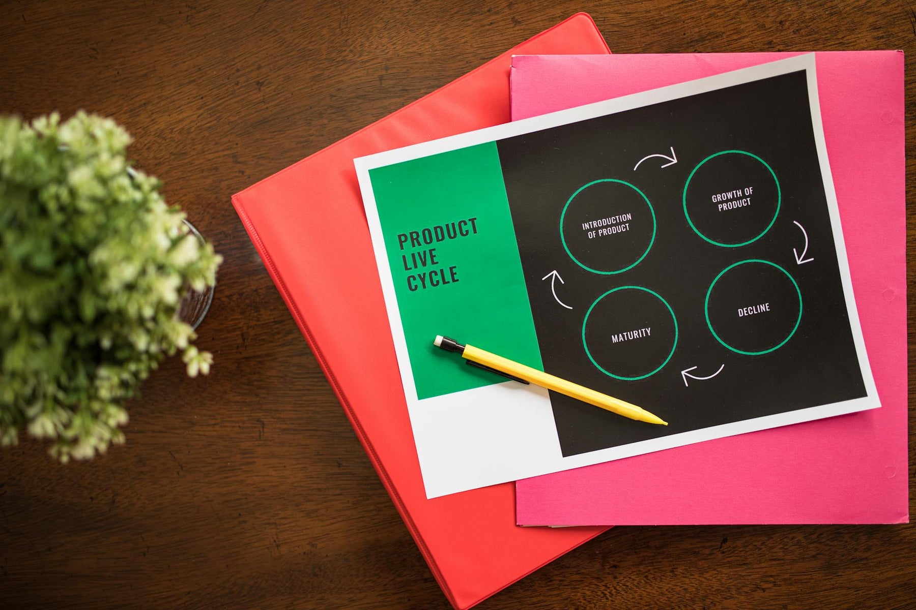 The Lifecycle of a Promo Product: Why Your Choices Matter More Than You Think