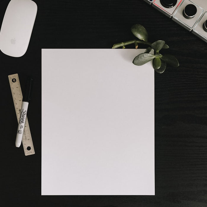 flatlay photo of paper, jad plant, marker, ruler, and Apple Magic Mouse