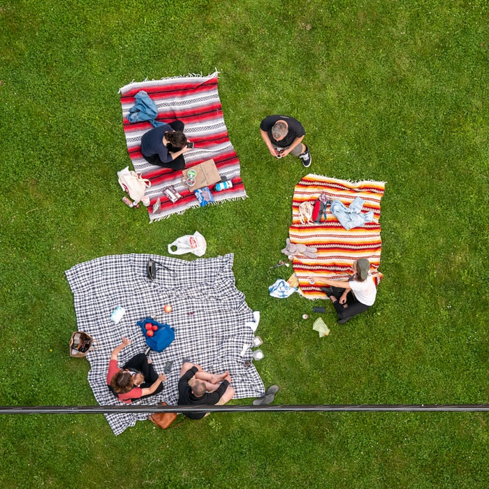 red white and black flag on green grass field