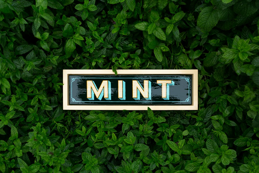 Mint Branding Strategy: How Fresh Breath Builds B2B Trust