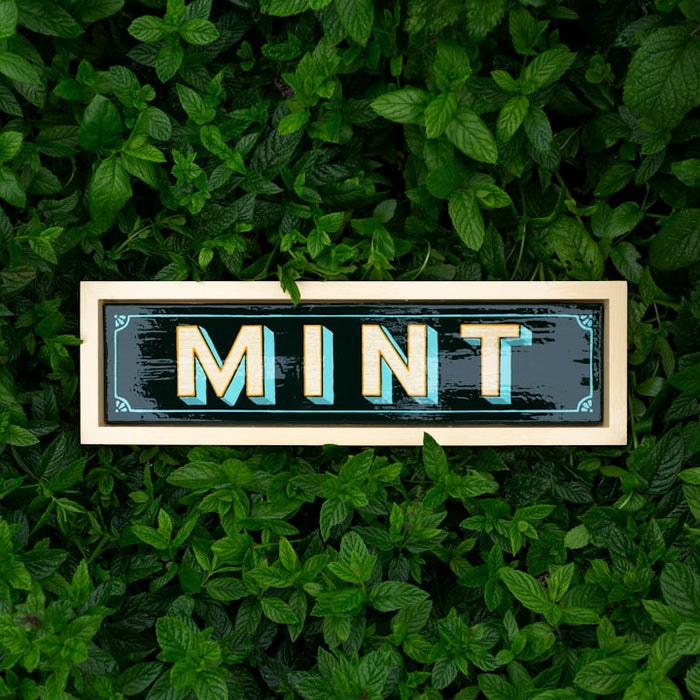Why Branded Mint Dispensers Outlast Business Cards at Events
