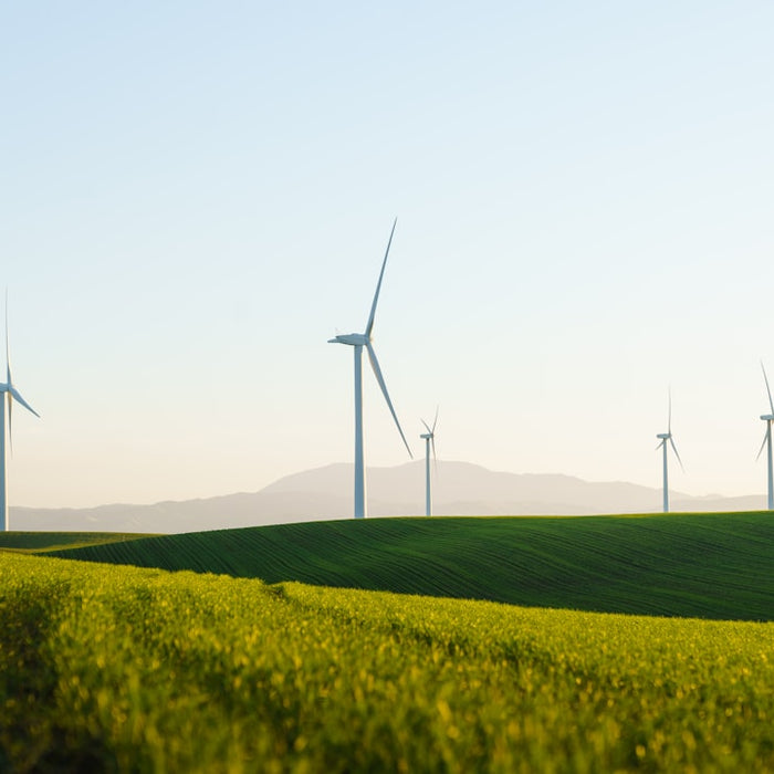 a field of green grass with wind turbines in the background