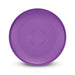 Aero Flyer - Large - A large purple Aero Flyer with a smooth surface and a central design, featuring a branding logo.
