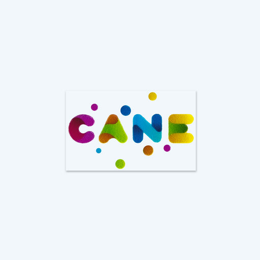 Prism Print - 78 x 48mm Sticker - A colourful sticker featuring textured letters spelling "CANE" in vibrant pink, blue, green, and yellow.