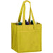 Shelly 6 Bottle Bag - Custom Promotional Product