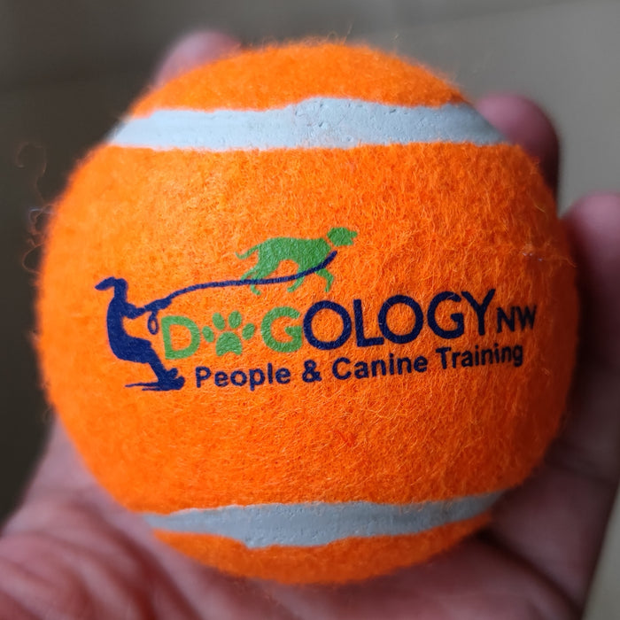 Logo Dog Fetch Tennis Balls - Custom Promotional Product