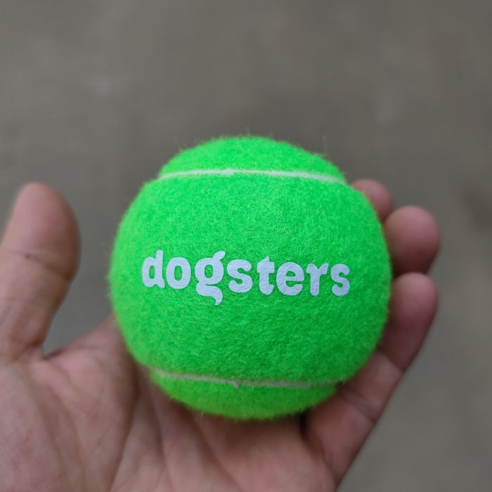 Logo Dog Fetch Tennis Balls - Custom Promotional Product