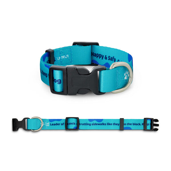 Sublimated Dog Collar - Custom Promotional Product