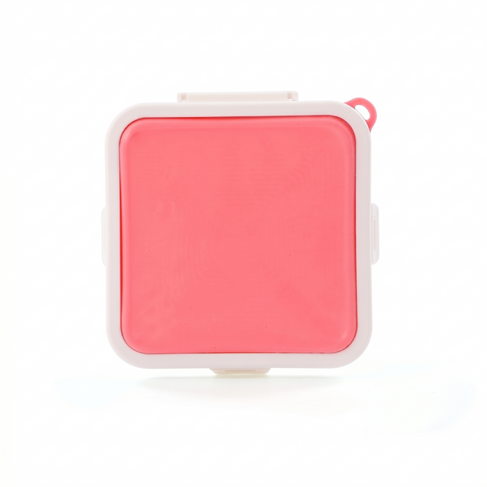 All-Silicone Food Container