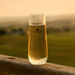 Stemless Shatterproof Champagne Glass - Custom Promotional Product