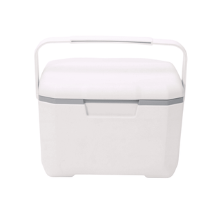 6L Cooler Box - A white 6L cooler box with a grey accent and a sturdy handle. It features a smooth, rectangular design.