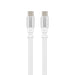 Reel 100W Cable - A white 100W charging cable with silver connectors on both ends, featuring a flexible design.