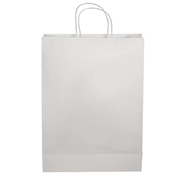 Paper Shopping Bag - A white paper shopping bag with two handles and a plain exterior, featuring a branding logo.