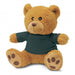 Teddy Bear Plush Toy