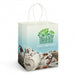 Large Paper Carry Bag - Full Colour Print