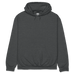 Gildan Hooded Sweatshirt