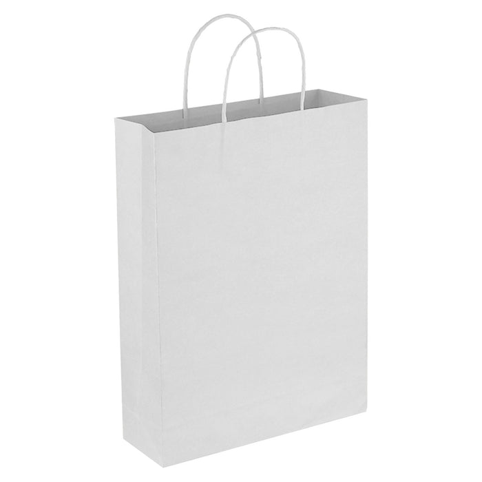 PAPER TRADE SHOW BAG THIN HANDLES